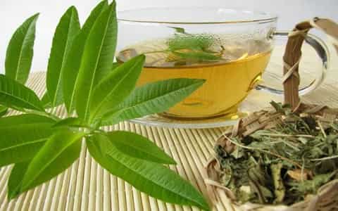 خرید و قیمت گیاه دارویی به لیمو + فروش عمده